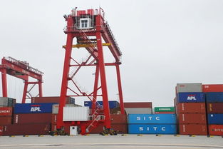 山東到?？趪鴥?nèi)集裝箱海運(yùn)專線運(yùn)輸公司