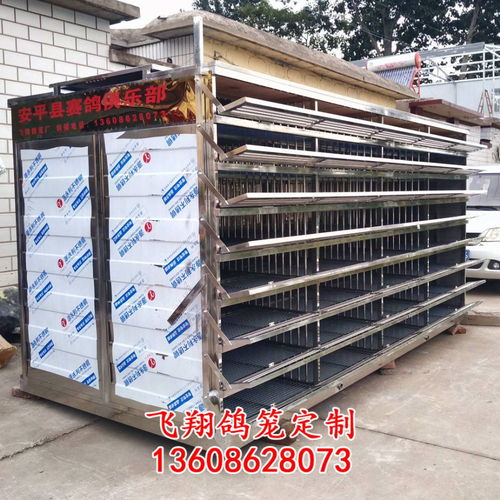 飛翔鴿籠 不銹鋼放飛籠 訓放籠 賽鴿籠 賽鴿集裝箱產(chǎn)品展示