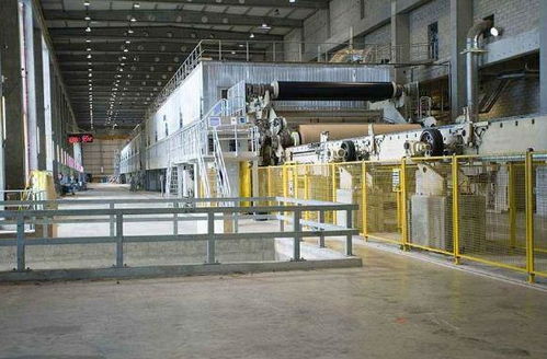 了解到內地紙張市場的巨大潛力,她成立公司,成就紙業(yè)王國