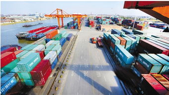 浙江日報(bào) 集裝箱購銷市場分析與未來展望